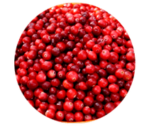 Fructele Lingonberry sunt conținute în capsule de prostamină, ameliorează umflarea